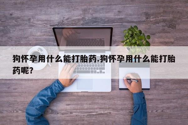 正品打胎药专卖微信狗怀孕用什么能打胎药.狗怀孕用什么能打胎药呢？