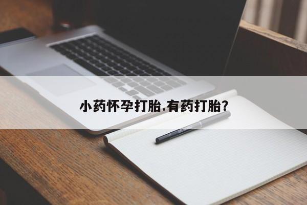 正品打胎药专卖微信小药怀孕打胎.有药打胎？