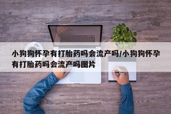 正品打胎药专卖微信小狗狗怀孕有打胎药吗会流产吗/小狗狗怀孕有打胎药吗会流产吗图片