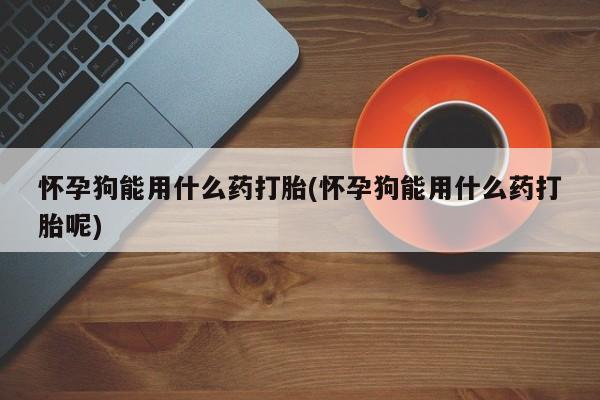 正品打胎药专卖微信怀孕狗能用什么药打胎(怀孕狗能用什么药打胎呢)